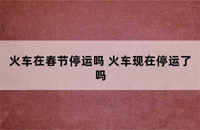 火车在春节停运吗 火车现在停运了吗